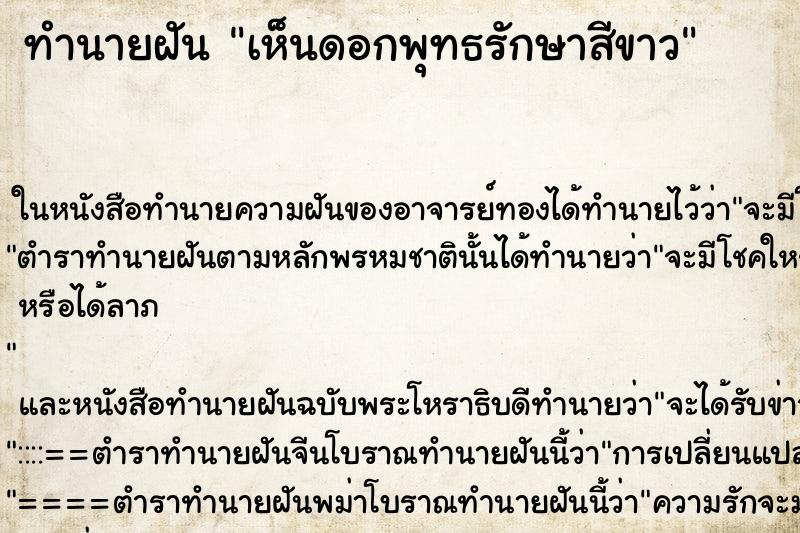 ทำนายฝัน เห็นดอกพุทธรักษาสีขาว ทำนายฝัน เห็นดอกพุทธรักษาสีขาว