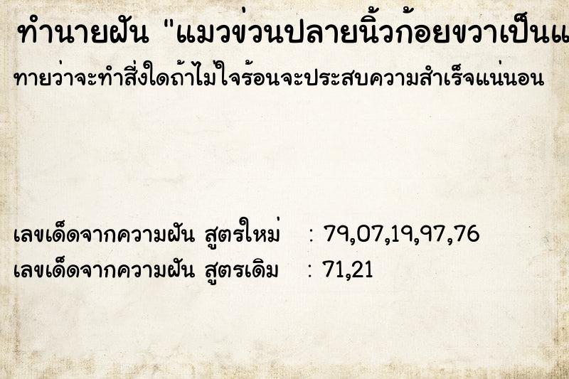 ทำนายฝันทำนายฝันแมวข่วนปลายนิ้วก้อยขวาเป็นแผลลึก