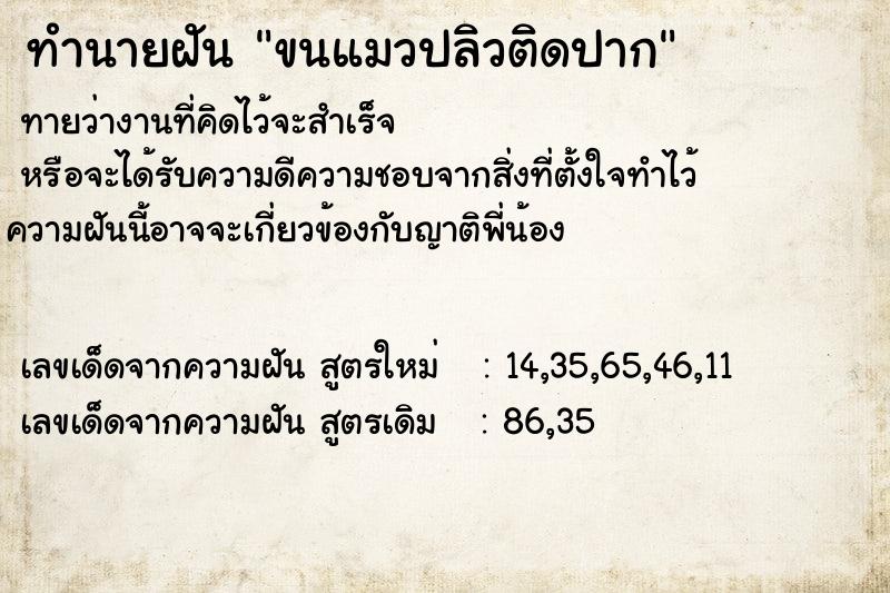 ทำนายฝันขนแมวปลิวติดปาก ทำนายฝันทำนายฝันขนแมวปลิวติดปาก