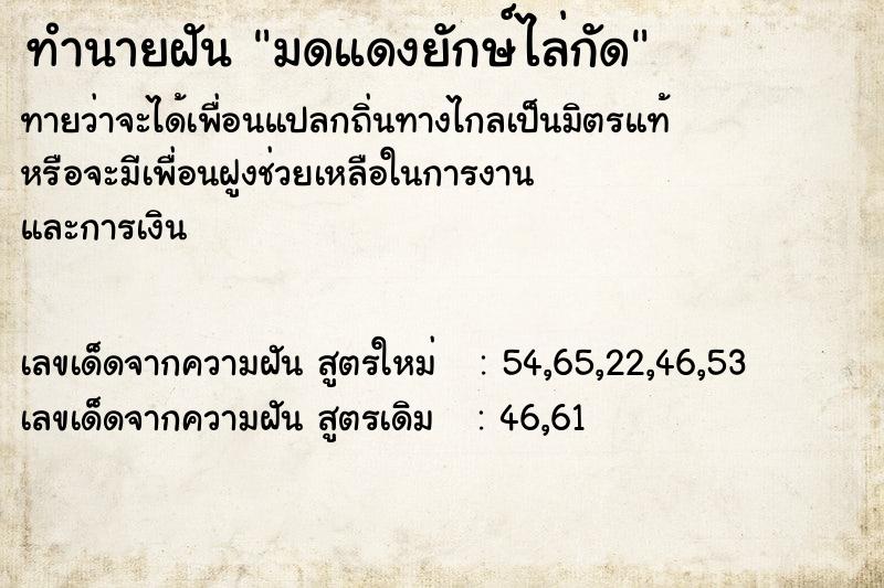 ทำนายฝันทำนายฝันมดแดงยักษ์ไล่กัด