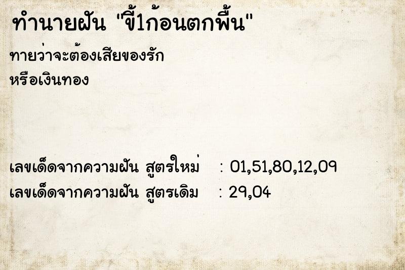 ทำนายฝันขี้1ก้อนตกพื้น ทำนายฝันทำนายฝันขี้1ก้อนตกพื้น