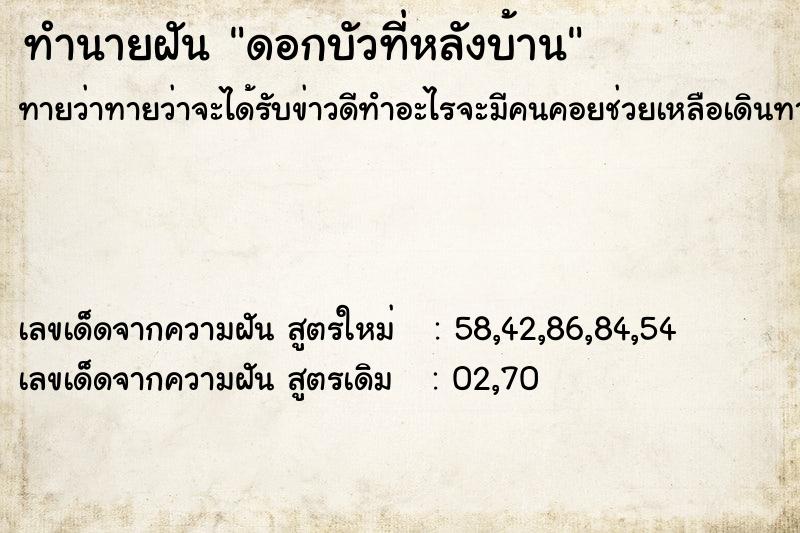 ทำนายฝัน ดอกบัวที่หลังบ้าน ทำนายฝัน ดอกบัวที่หลังบ้าน