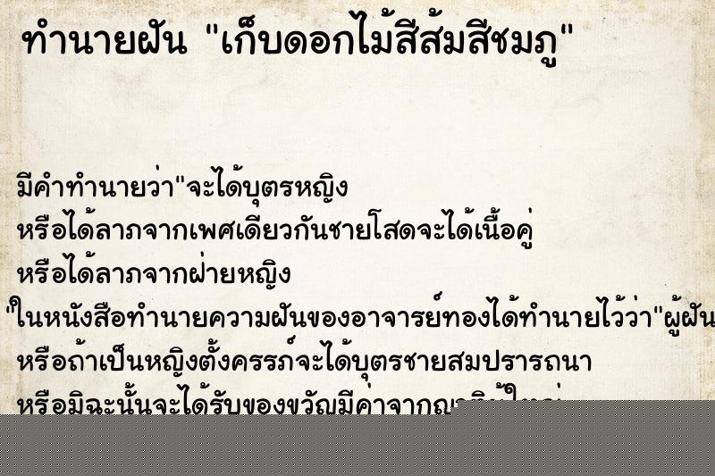 ทำนายฝันทำนายฝันเก็บดอกไม้สีส้มสีชมภู