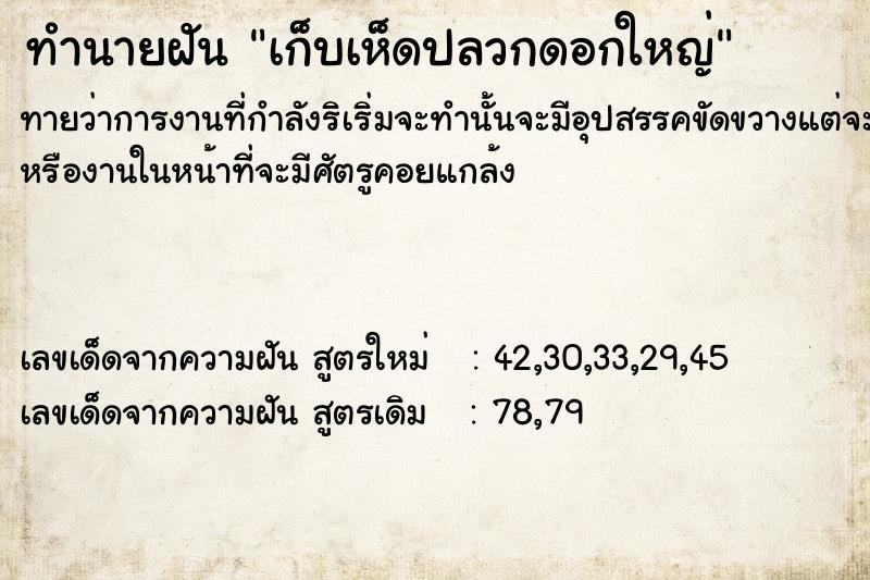ทำนายฝันทำนายฝันเก็บเห็ดปลวกดอกใหญ่