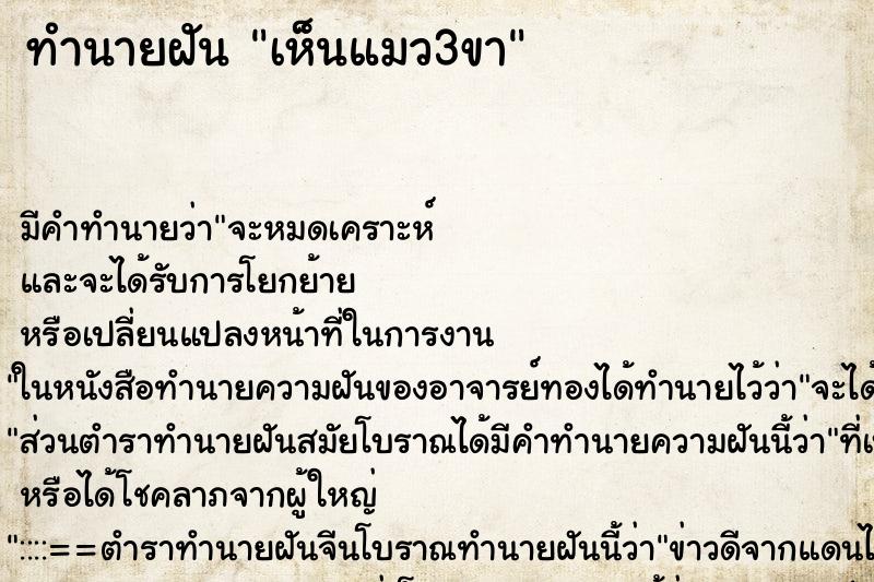 ทำนายฝัน เห็นแมว3ขา ตำราโบราณ แม่นที่สุดในโลก