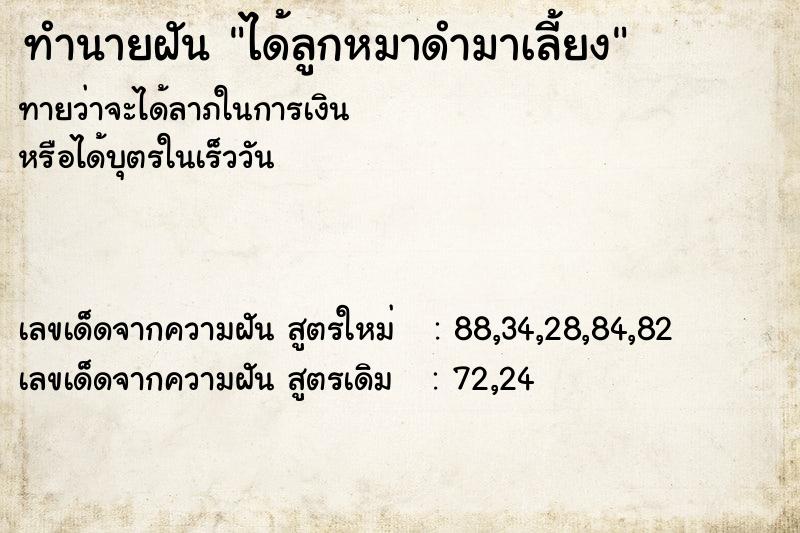 ทำนายฝันทำนายฝันได้ลูกหมาดำมาเลี้ยง