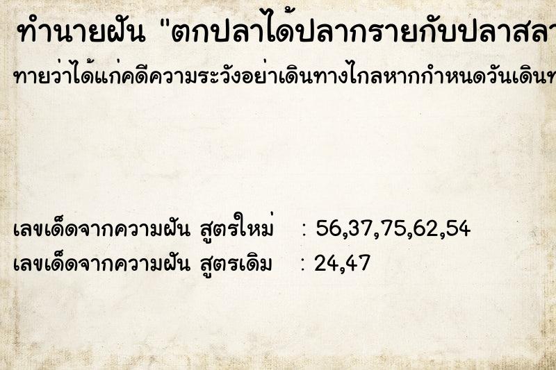 ทำนายฝันตกปลาได้ปลากรายกับปลาสลาด ทำนายฝันทำนายฝันตกปลาได้ปลากรายกับปลาสลาด