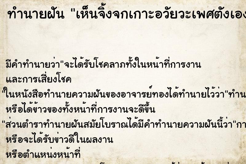 ทำนายฝันเห็นจิ้งจกเกาะอวัยวะเพศตังเอง ทำนายฝันทำนายฝันเห็นจิ้งจกเกาะอวัยวะเพศตังเอง