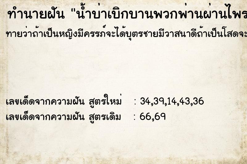 ทำนายฝันน้ำบ่าเบิกบานพวกพ่านผ่านไพร ทำนายฝันทำนายฝันน้ำบ่าเบิกบานพวกพ่านผ่านไพร