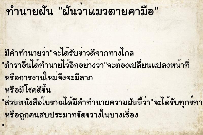 ทำนายฝัน ฝันว่าแมวตายคามือ
