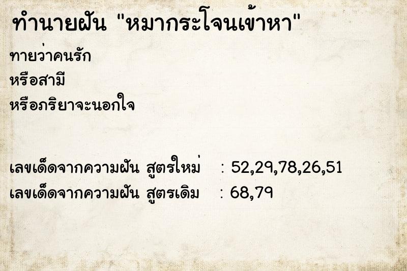 ทำนายฝันหมากระโจนเข้าหา ทำนายฝันทำนายฝันหมากระโจนเข้าหา