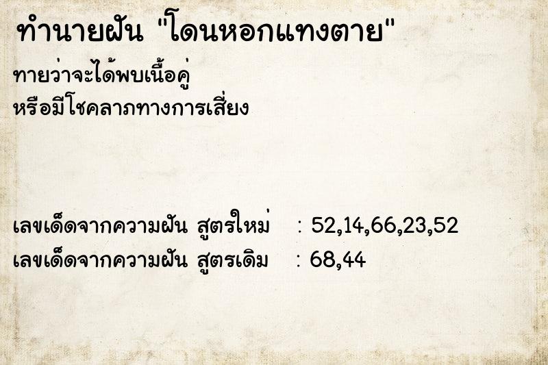 ทำนายฝันโดนหอกแทงตาย ทำนายฝันทำนายฝันโดนหอกแทงตาย