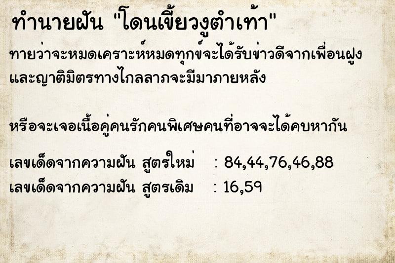 ทำนายฝันโดนเขี้ยวงูตำเท้า ทำนายฝันทำนายฝันโดนเขี้ยวงูตำเท้า
