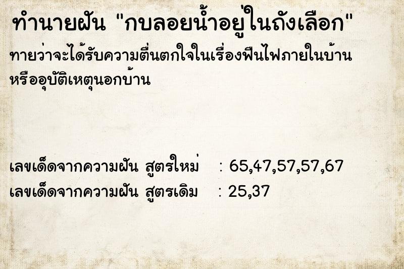 ทำนายฝันกบลอยน้ำอยู่ในถังเลือก ทำนายฝันทำนายฝันกบลอยน้ำอยู่ในถังเลือก