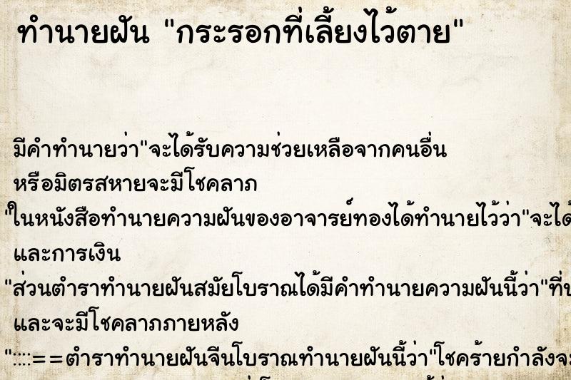 ทำนายฝันกระรอกที่เลี้ยงไว้ตาย ทำนายฝันทำนายฝันกระรอกที่เลี้ยงไว้ตาย
