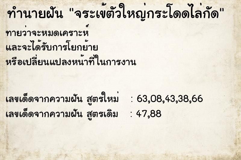 ทำนายฝันจระเข้ตัวใหญ่กระโดดไล่กัด ทำนายฝันทำนายฝันจระเข้ตัวใหญ่กระโดดไล่กัด