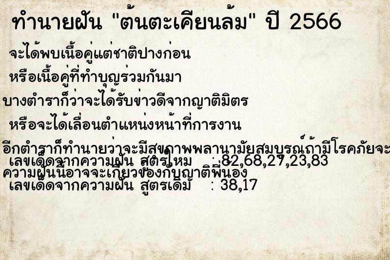 ทำนายฝัน ต้นตะเคียนล้ม ทำนายฝัน ต้นตะเคียนล้ม