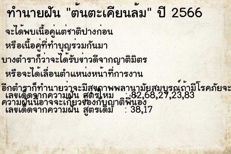 ทำนายฝัน ต้นตะเคียนล้ม ตำราโบราณ แม่นที่สุดในโลก