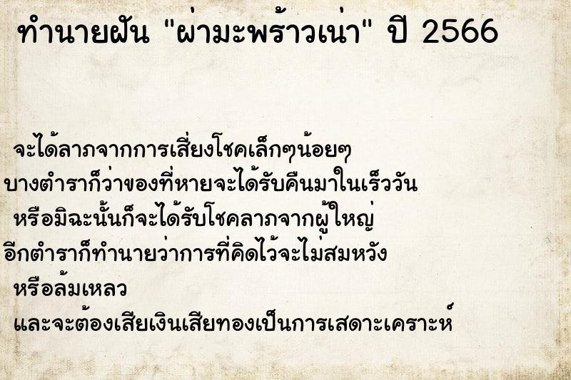 ทำนายฝัน ผ่ามะพร้าวเน่า ตำราโบราณ แม่นที่สุดในโลก