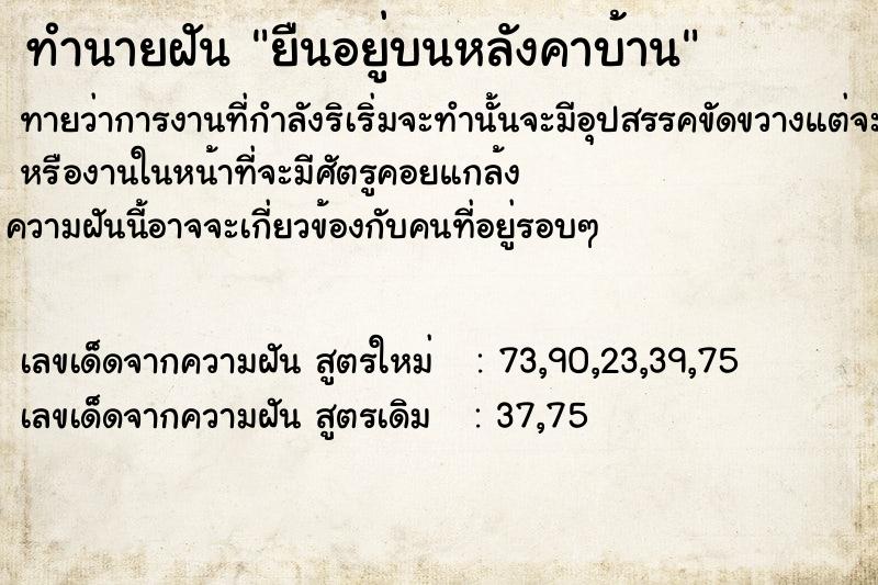 ทำนายฝันยืนอยู่บนหลังคาบ้าน ทำนายฝันทำนายฝันยืนอยู่บนหลังคาบ้าน