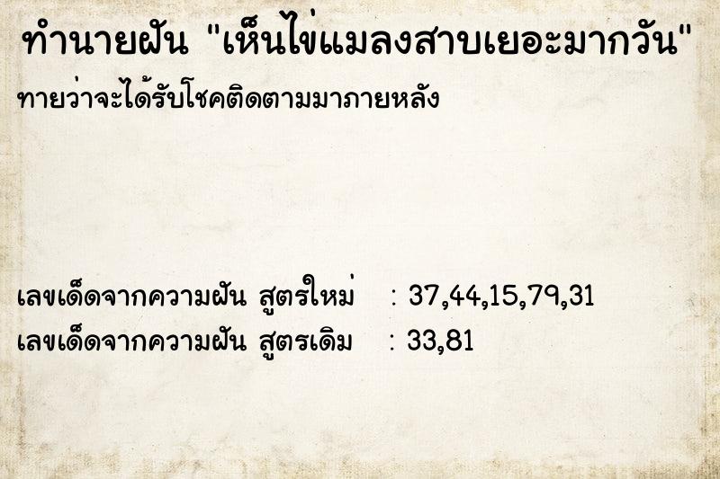 ทำนายฝัน เห็นไข่แมลงสาบเยอะมากวัน ทำนายฝัน เห็นไข่แมลงสาบเยอะมากวัน