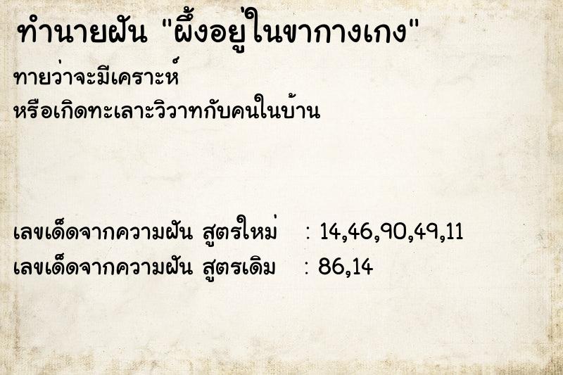 ทำนายฝันผึ้งอยู่ในขากางเกง ทำนายฝันทำนายฝันผึ้งอยู่ในขากางเกง