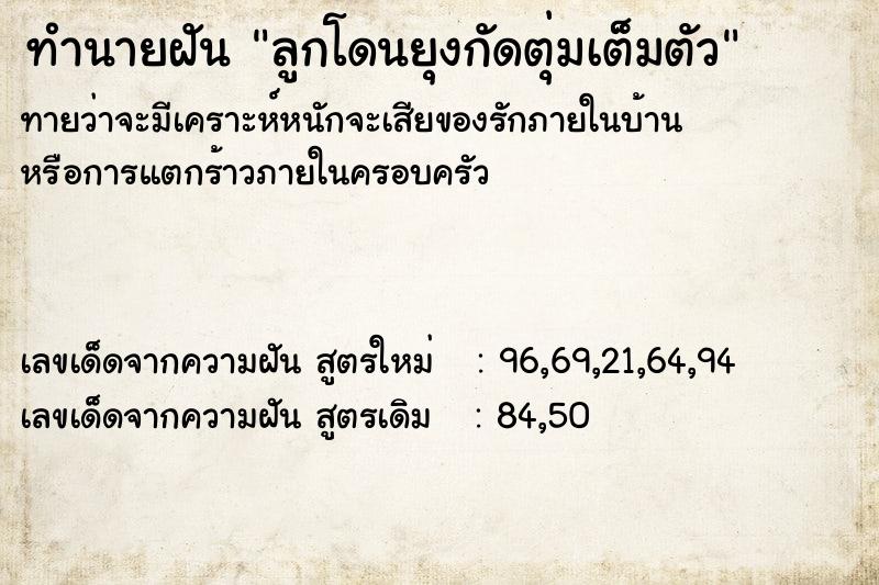 ทำนายฝัน ลูกโดนยุงกัดตุ่มเต็มตัว ทำนายฝัน ลูกโดนยุงกัดตุ่มเต็มตัว