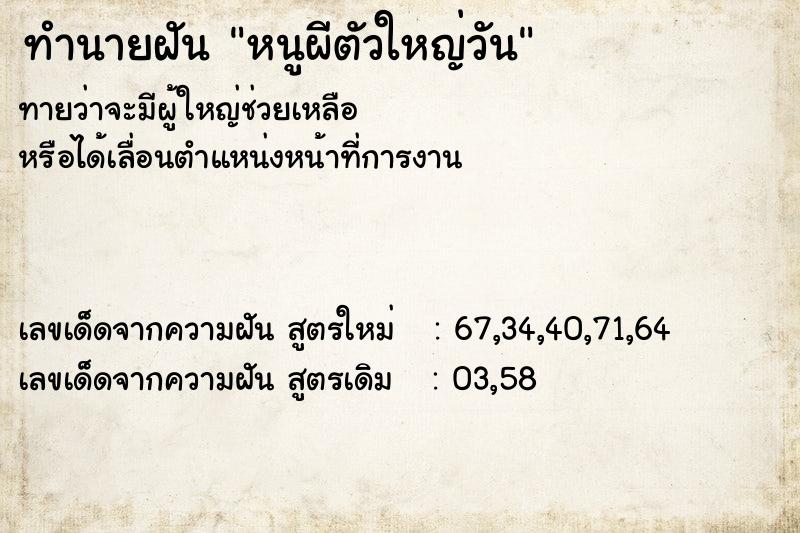 ทำนายฝันทำนายฝันหนูผีตัวใหญ่วัน