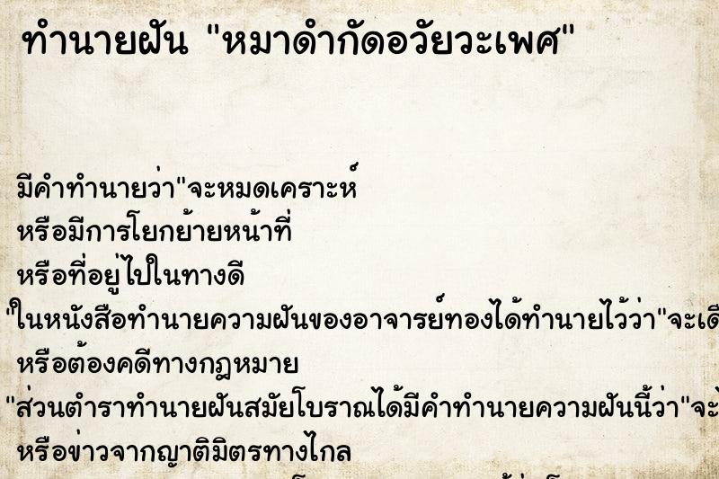 ทำนายฝัน หมาดำกัดอวัยวะเพศ ทำนายฝัน หมาดำกัดอวัยวะเพศ