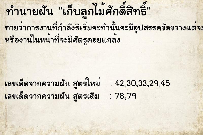 ทำนายฝันเก็บลูกไม้ศักดิ์สิทธิ์ ทำนายฝันทำนายฝันเก็บลูกไม้ศักดิ์สิทธิ์