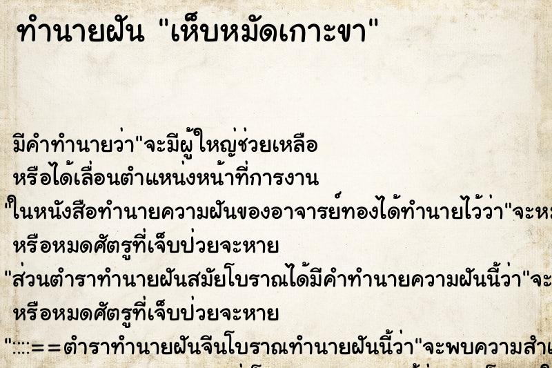 ทำนายฝัน เห็บหมัดเกาะขา ทำนายฝัน เห็บหมัดเกาะขา