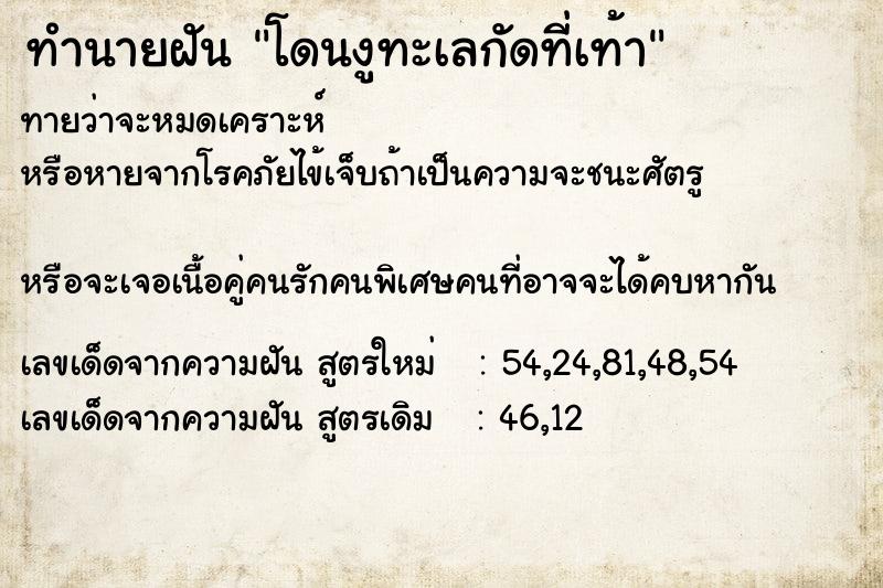 ทำนายฝัน โดนงูทะเลกัดที่เท้า ทำนายฝัน โดนงูทะเลกัดที่เท้า