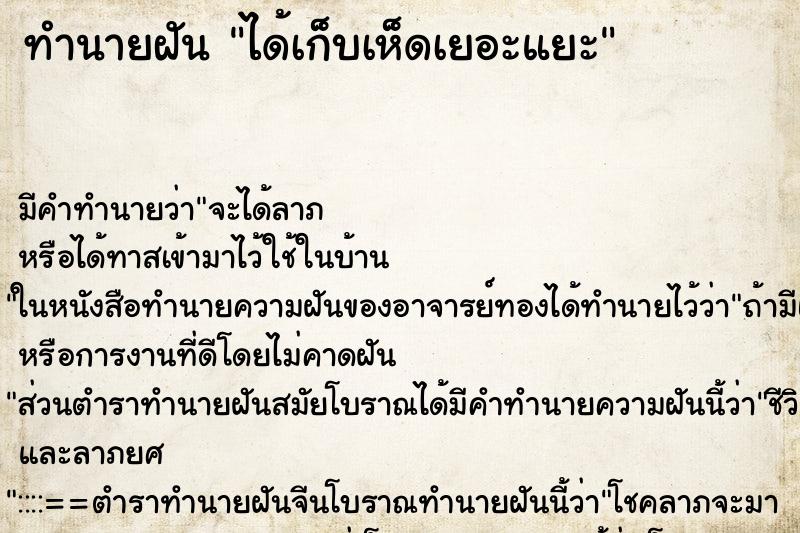 ทำนายฝัน ได้เก็บเห็ดเยอะแยะ ทำนายฝัน ได้เก็บเห็ดเยอะแยะ