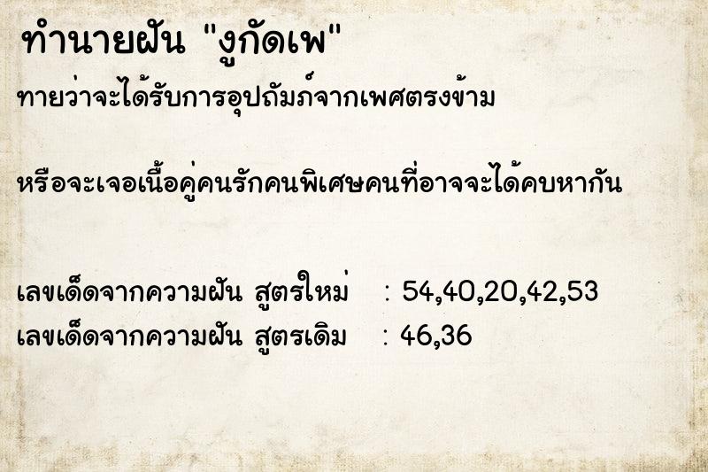 ทำนายฝันงูกัดเพ ทำนายฝันทำนายฝันงูกัดเพ