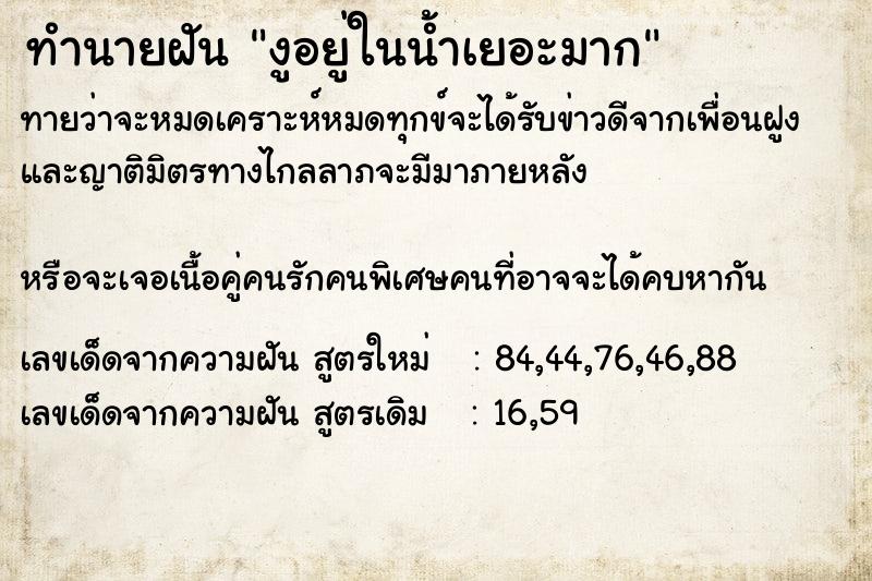 ทำนายฝันงูอยู่ในน้ำเยอะมาก ทำนายฝันทำนายฝันงูอยู่ในน้ำเยอะมาก