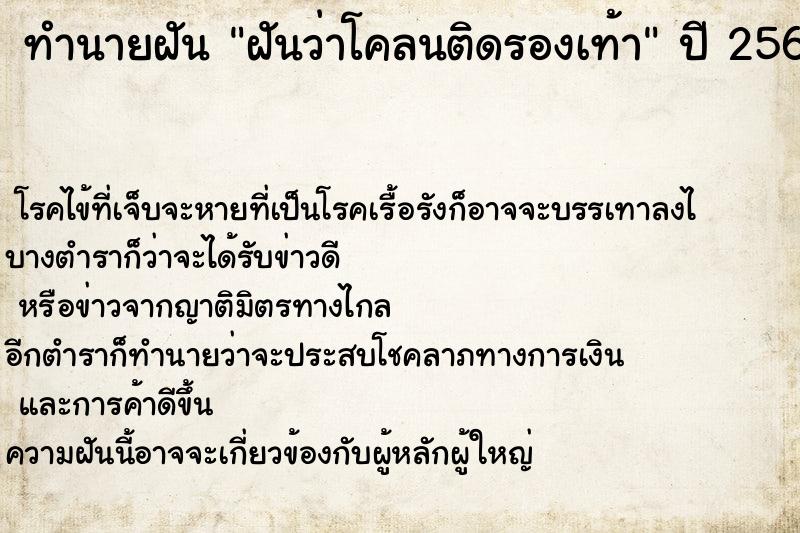 ทำนายฝันทำนายฝันฝันว่าโคลนติดรองเท้า