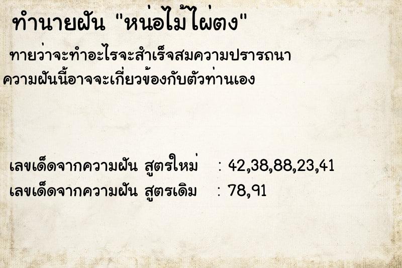 ทำนายฝันหน่อไม้ไผ่ตง ทำนายฝันทำนายฝันหน่อไม้ไผ่ตง