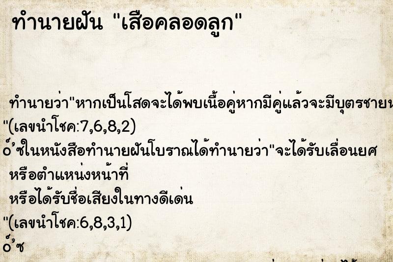 ทำนายฝันทำนายฝันเสือคลอดลูก