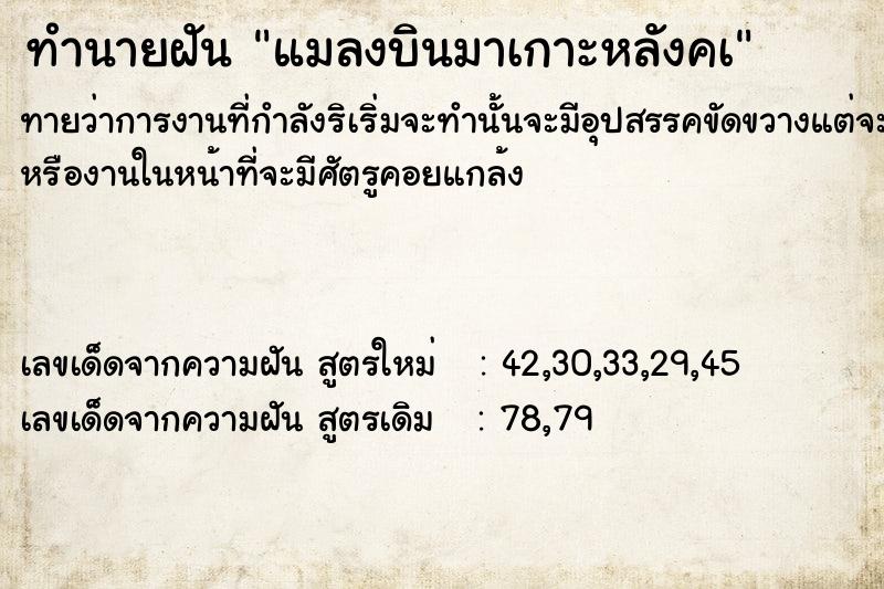 ทำนายฝัน แมลงบินมาเกาะหลังคà ทำนายฝัน แมลงบินมาเกาะหลังคà