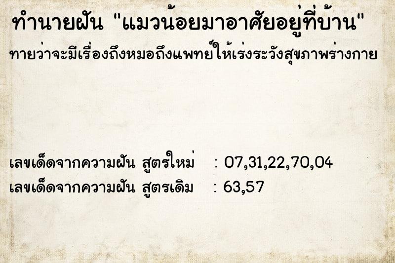 ทำนายฝันทำนายฝันแมวน้อยมาอาศัยอยู่ที่บ้าน