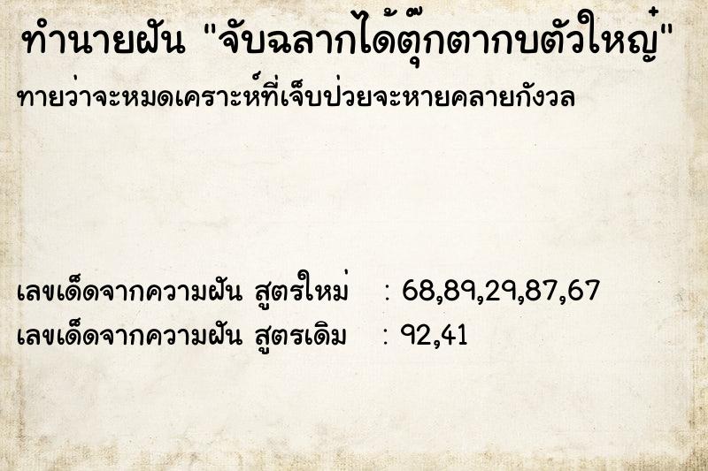 ทำนายฝันจับฉลากได้ตุ๊กตากบตัวใหญ๋ ทำนายฝันทำนายฝันจับฉลากได้ตุ๊กตากบตัวใหญ๋