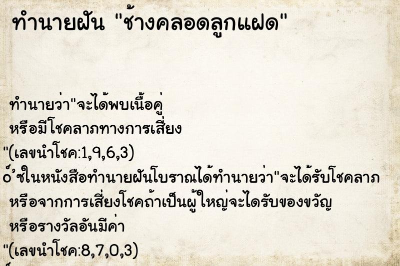 ทำนายฝัน ช้างคลอดลูกแฝด ทำนายฝัน ช้างคลอดลูกแฝด
