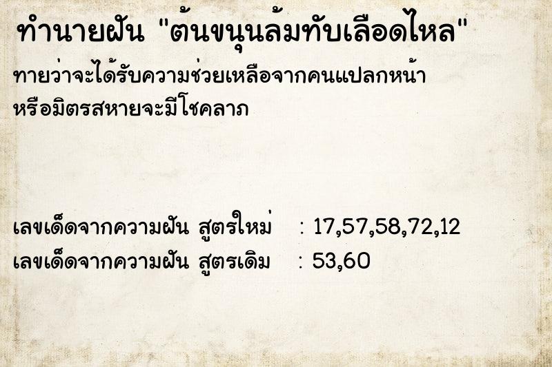 ทำนายฝันทำนายฝันต้นขนุนล้มทับเลือดไหล