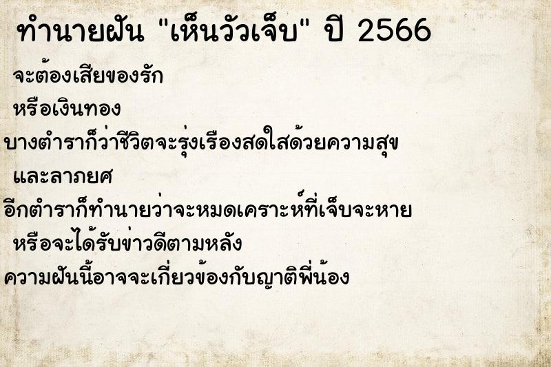 ทำนายฝันเห็นวัวเจ็บ ทำนายฝันทำนายฝันเห็นวัวเจ็บ