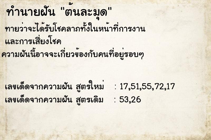 ทำนายฝันทำนายฝันต้นละมุด