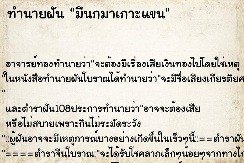 ทำนายฝันมีนกมาเกาะแขน ทำนายฝันทำนายฝันมีนกมาเกาะแขน