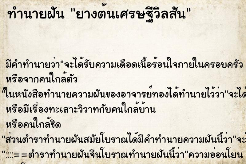 ทำนายฝัน ยางต้นเศรษฐีวิลสัน ตำราโบราณ แม่นที่สุดในโลก