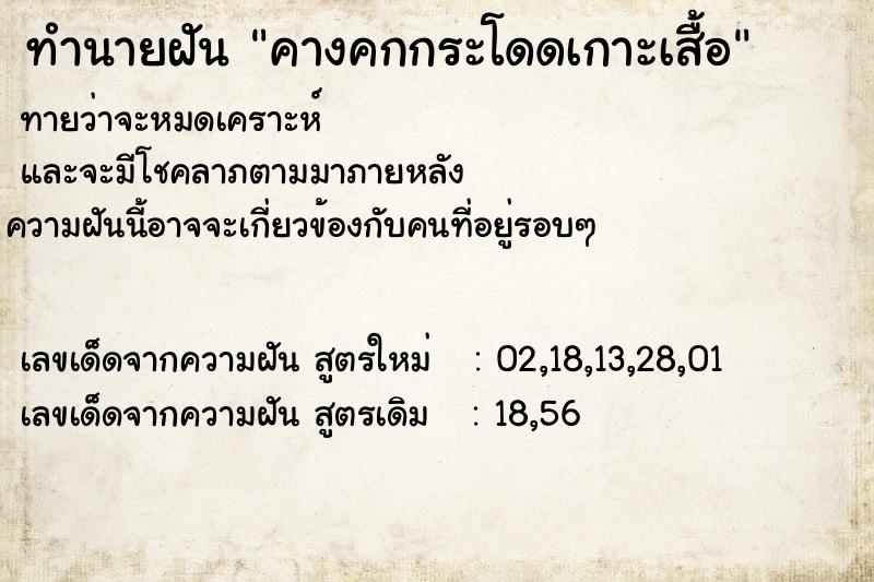 ทำนายฝันทำนายฝันคางคกกระโดดเกาะเสื้อ