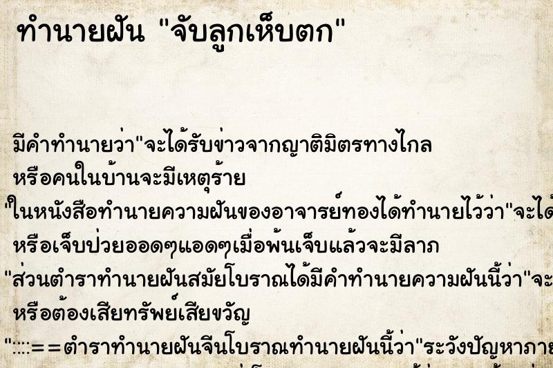 ทำนายฝันจับลูกเห็บตก ทำนายฝันทำนายฝันจับลูกเห็บตก