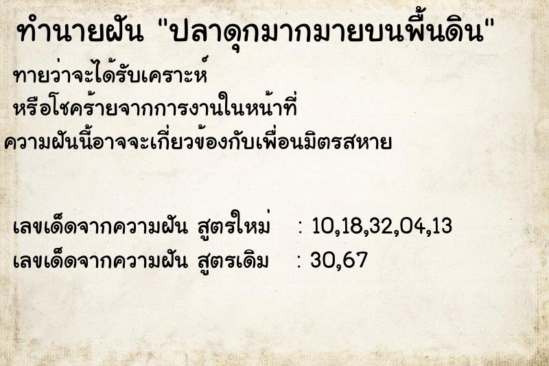 ทำนายฝัน ปลาดุกมากมายบนพื้นดิน ทำนายฝัน ปลาดุกมากมายบนพื้นดิน